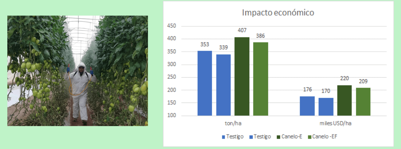 Impacto y beneficio económico