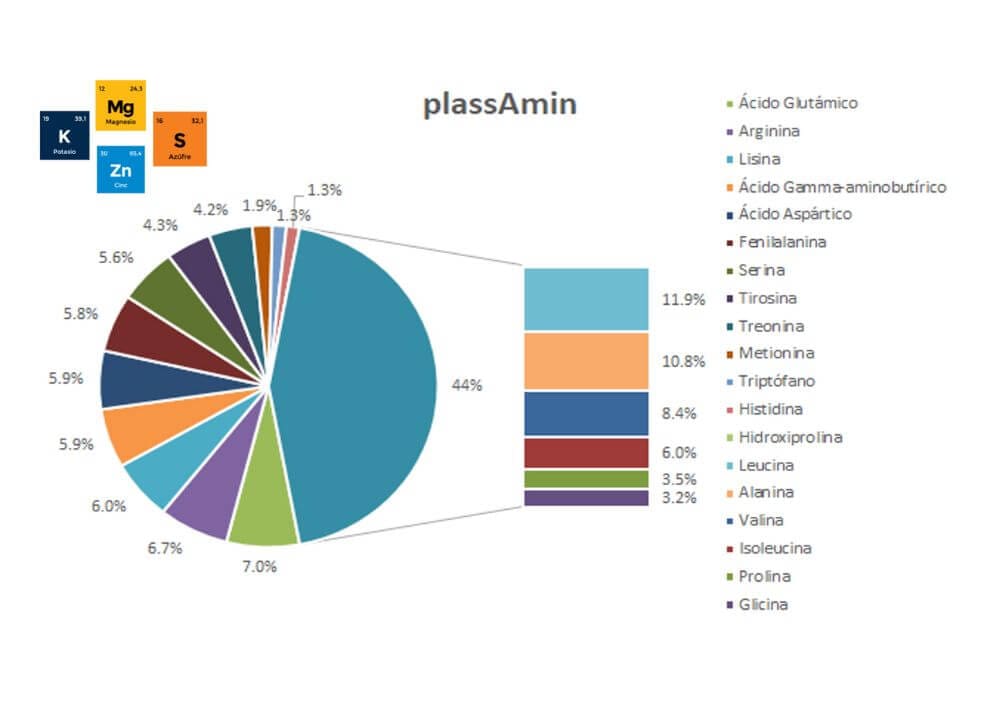 plassAmin-Active en el cultivo de arandanos