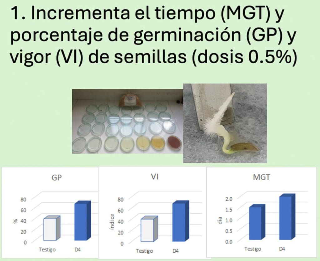 1. Incrementa el tiempo (MGT) y porcentaje de germinación (GP) y vigor (VI) de semillas (dosis 0.5%)